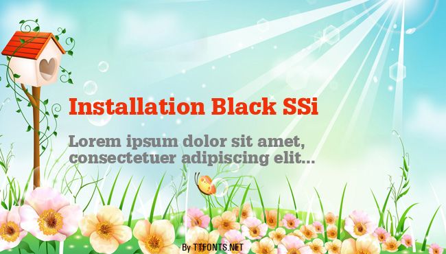 Installation Black SSi example